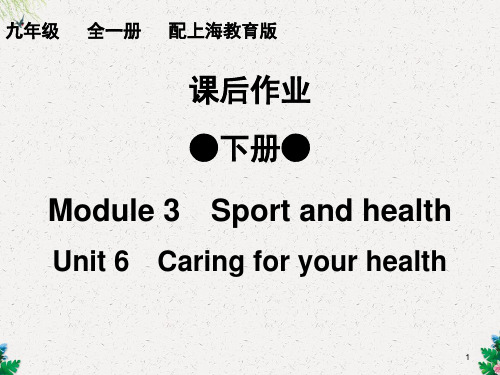 九年级英语(上海教育版)下册Module 3-Unit 6(课后作业)(共44张PPT)