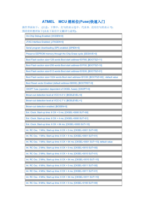 ATMEL MCU熔丝位设置快速入门