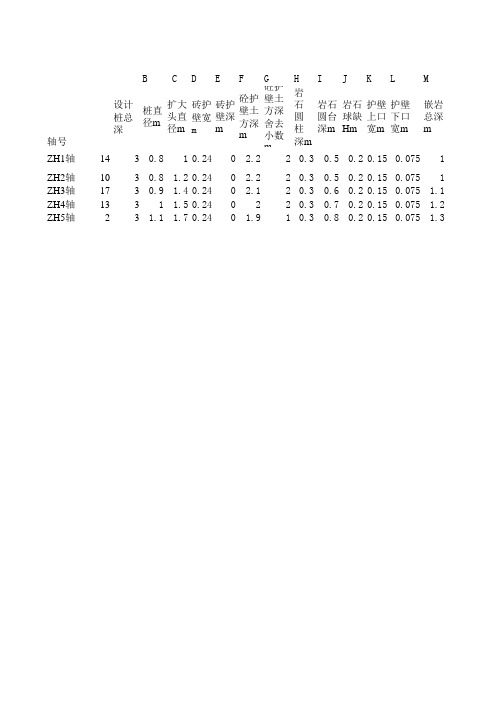 (圆桩)人工挖孔桩表格