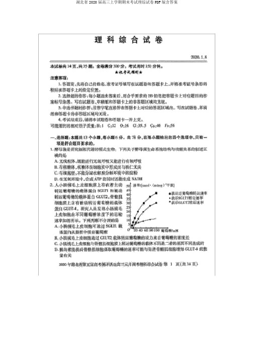 湖北省2020届高三上学期期末考试理综试卷PDF版含答案