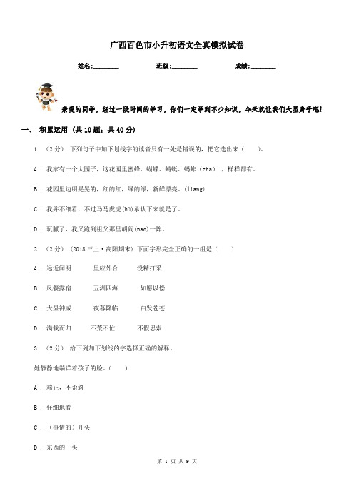 广西百色市小升初语文全真模拟试卷
