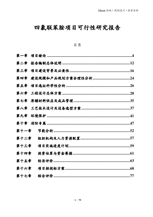 四氯联苯胺项目可行性研究报告