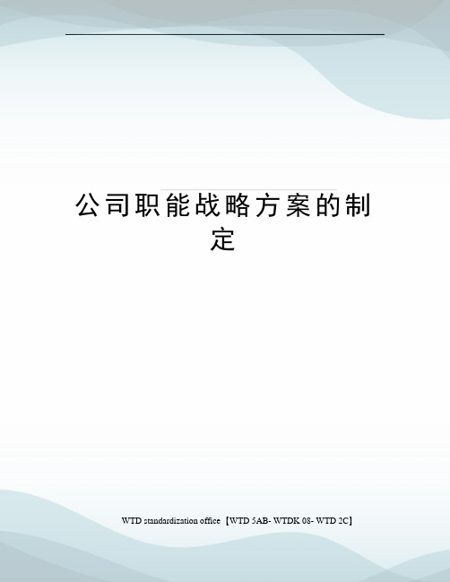 公司职能战略方案的制定