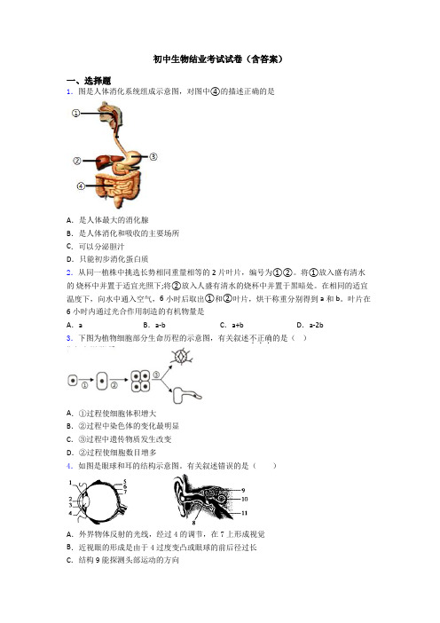 初中生物结业考试试卷(含答案)