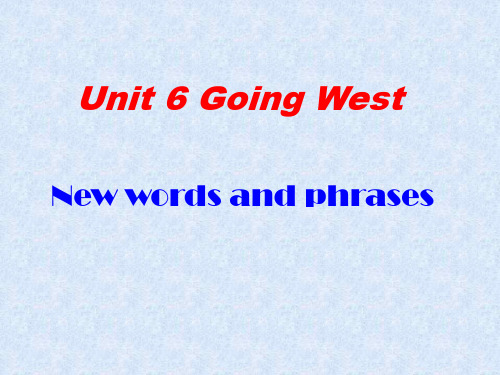 高三英语上学期unit-6-words-and-phrases