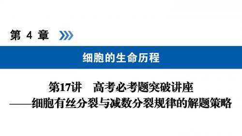 2019届一轮复习人教版 第17讲细胞有丝分裂与减数分裂规律的解题策略 课件