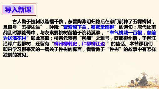 11.《种树郭橐驼传》课件(共25张PPT) 2023-2024学年统编版高中语文选择性必修下册