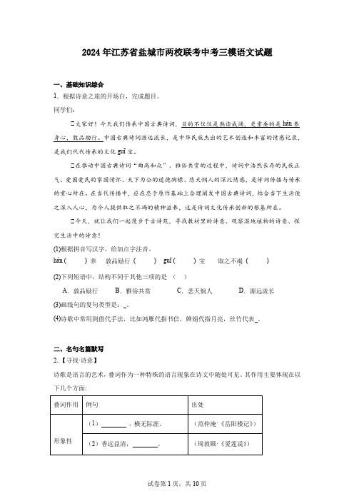 2024年江苏省盐城市两校联考中考三模语文试题