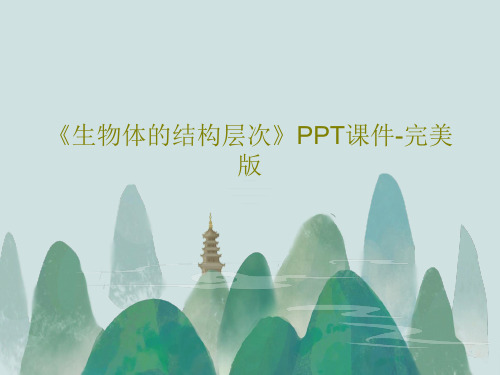 《生物体的结构层次》PPT课件-完美版共29页文档