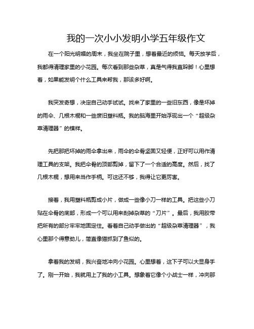 我的一次小小发明小学五年级作文