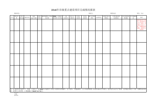 2016年度市级重点建设项目完成情况报表