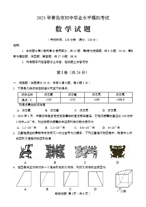 2023年山东省青岛市中考数学零模试题