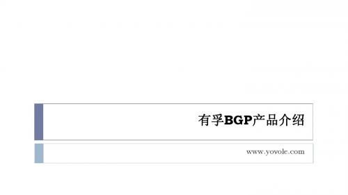 BGP产品介绍