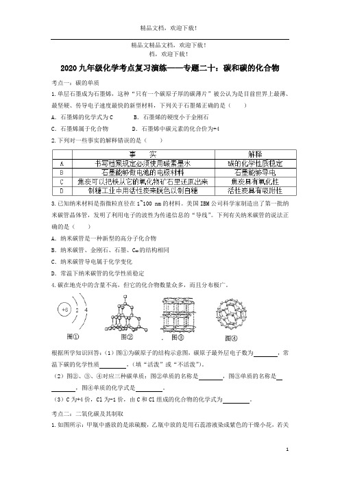 2020九年级化学考点复习演练专题二十碳和碳的化合物试题