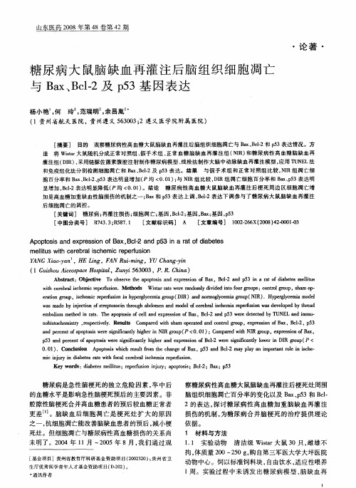 糖尿病大鼠脑缺血再灌注后脑组织细胞凋亡与Bax、Be1-2及p53基因表达