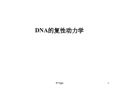 《DNA复性动力学》PPT课件