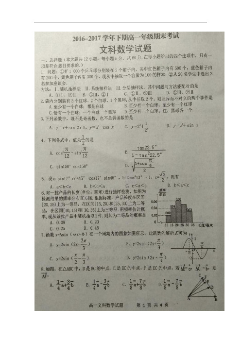 河南省西华县第一高级中学高一下学期期末考试数学(文)