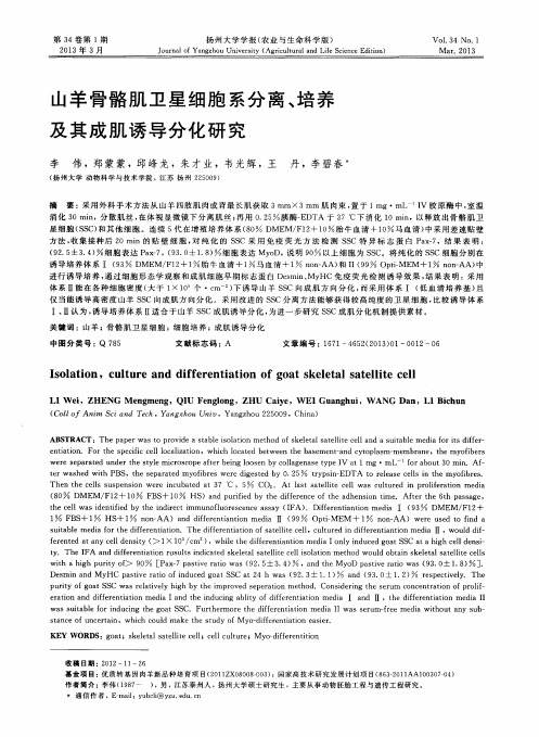 山羊骨骼肌卫星细胞系分离、培养及其成肌诱导分化研究