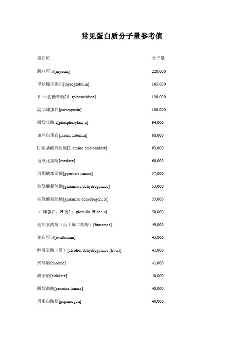 常见蛋白质分子量参考值