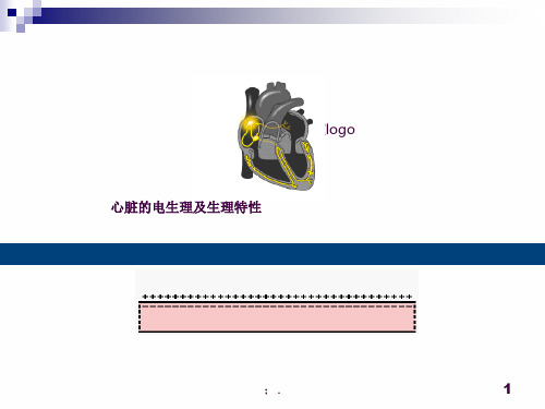 心脏的电生理学及生理特性ppt课件