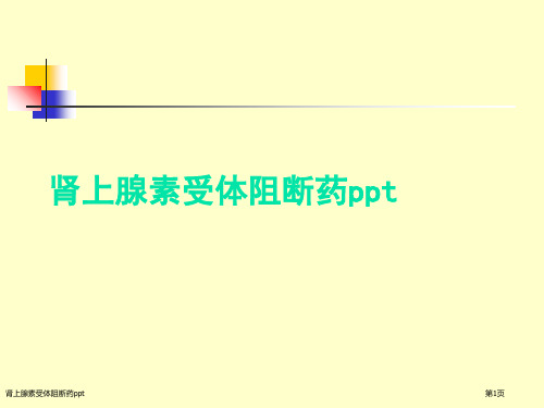 肾上腺素受体阻断药ppt