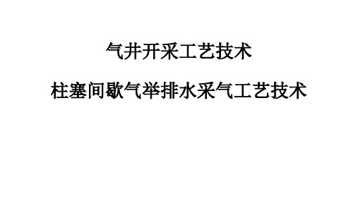 柱塞间歇气举排水采气工艺技术