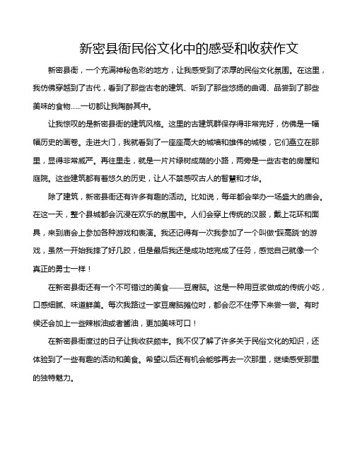 新密县衙民俗文化中的感受和收获作文