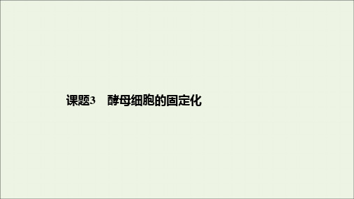 2019_2020学年高中生物专题4酶的研究与应用课题3酵母细胞的固定化课件新人教版选修1 (1)