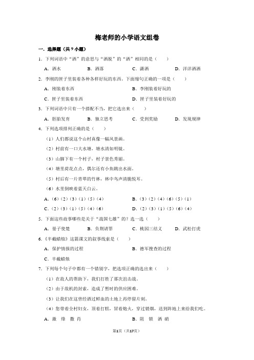 梅老师的小学语文卷 5下 模拟题及解析2