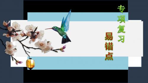 2019年人教版生物中考复习专项复习易错点 课件(共51张PPT)