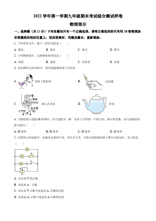 2023年上海嘉定区中考一模物理试题(学生版+解析版)