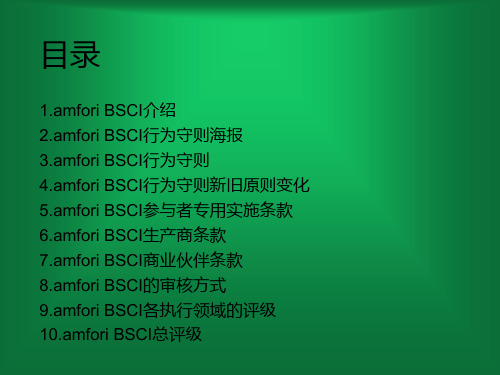 amforiBSCI社会责任标准专业知识培训教材课件