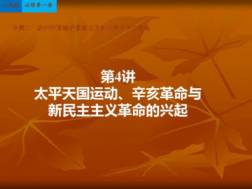 高考历史一轮复习课件：人民版必修一 第4讲太平天国运动、辛亥革命与新民主主义革命的兴起 58ppt