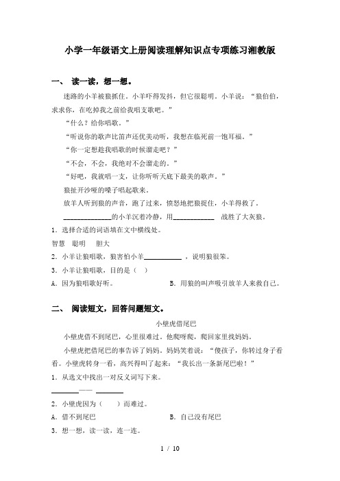 小学一年级语文上册阅读理解知识点专项练习湘教版