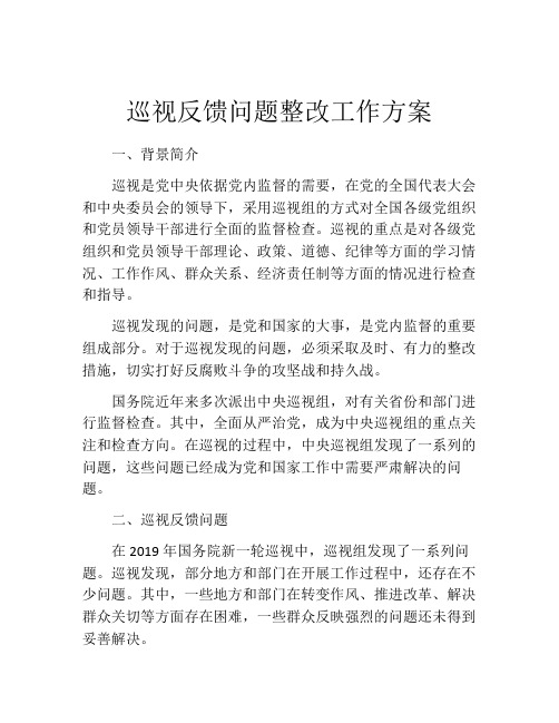 巡视反馈问题整改工作方案