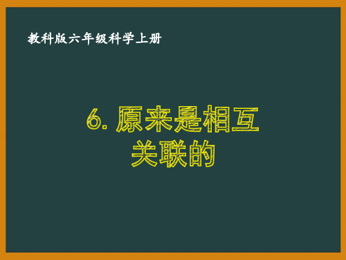 教科版六年级科学上册4-6《原来是相互关联的》优秀PPT课件