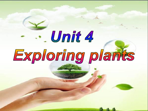 2019年人教版高中英语选修9课件：Unit 4 Exploring plants Reading(共51张PPT)精品物理