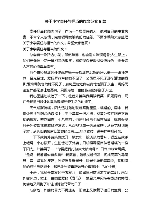 关于小学责任与担当的作文范文5篇