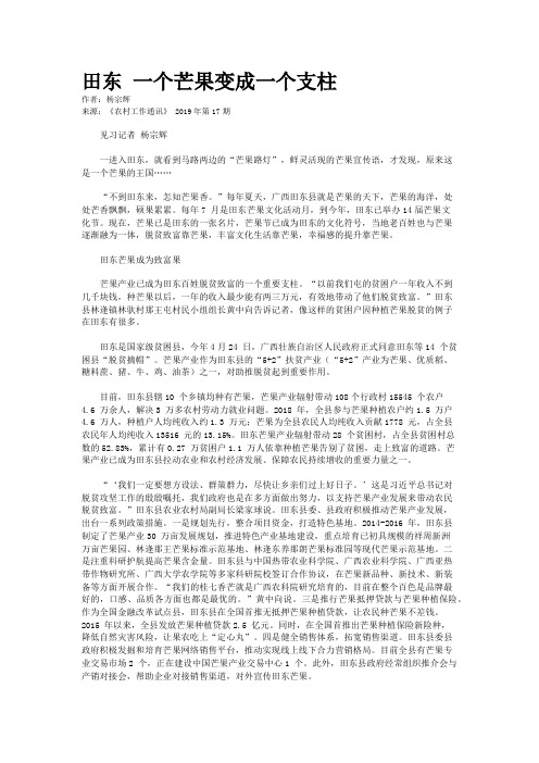 田东 一个芒果变成一个支柱