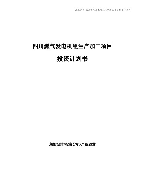 四川燃气发电机组生产加工项目投资计划书