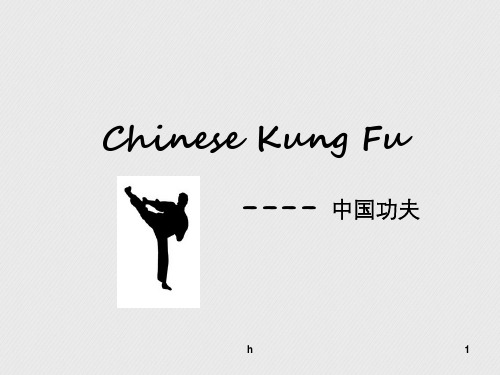 中国功夫介绍 PPT模板