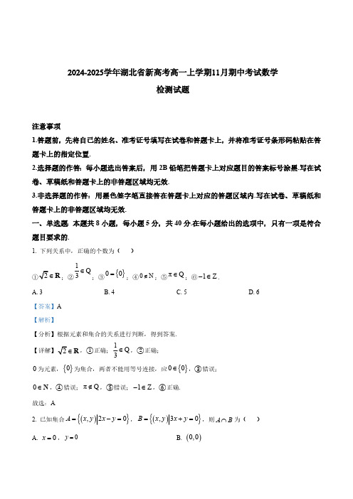 2024-2025学年湖北省新高考高一上学期11月期中考试数学检测试题(含解析)