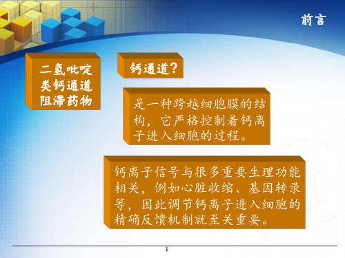 二氢吡啶类钙通道阻滞药物的分析PPT课件