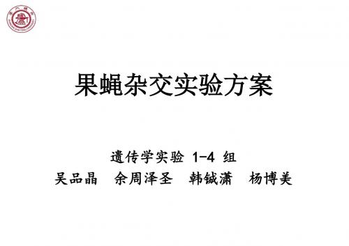 上海交通大学遗传学上午4组果蝇杂交试验方案