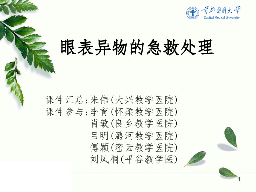 眼表异物的急救处理PPT课件