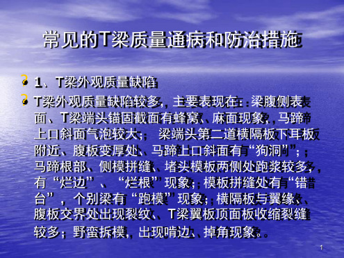 常见的T梁质量通病和防治措施文档