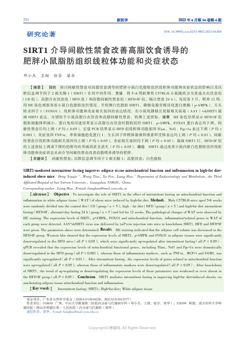 SIRT1_介导间歇性禁食改善高脂饮食诱导的肥胖小鼠脂肪组织线粒体功能和炎症状态