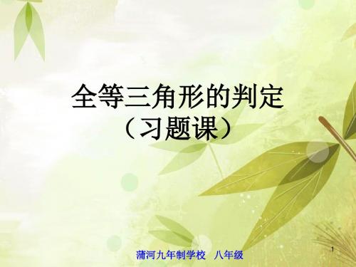 全等三角形及其判定习题课PPT教学课件