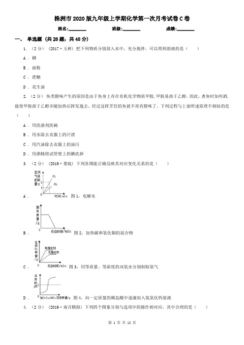 株洲市2020版九年级上学期化学第一次月考试卷C卷