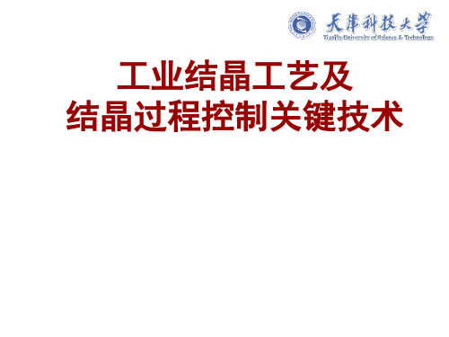 结晶工艺优化及过程控制关键技术